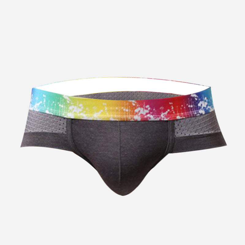 Men's Sexy Low Rise Breathable Mesh Briefs⚡⚡Last Day Sale -49% off