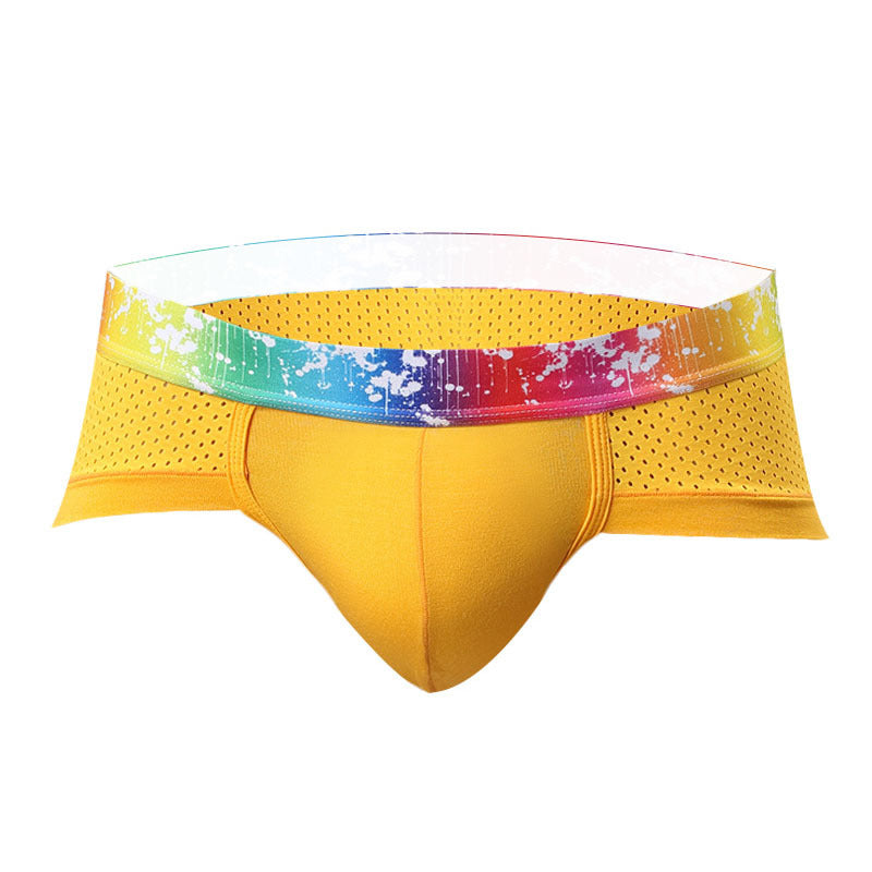 Men's Sexy Low Rise Breathable Mesh Briefs⚡⚡Last Day Sale -49% off